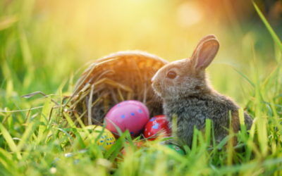 Życzenia Wielkanocne – Wesołego Alleluja!