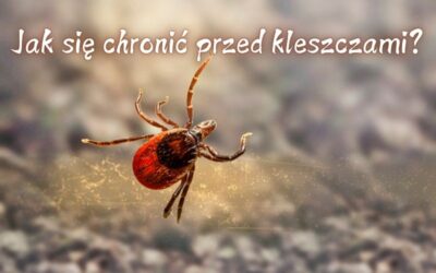 Jak się chronić przed kleszczami?