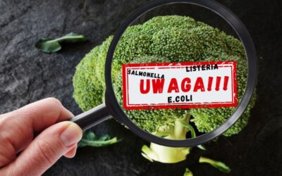 Zatrucia pokarmowe latem