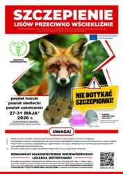 szczepienia lisów